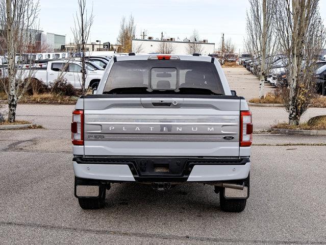 ford F-150 2023 - 12