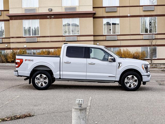 ford F-150 2023 - 14
