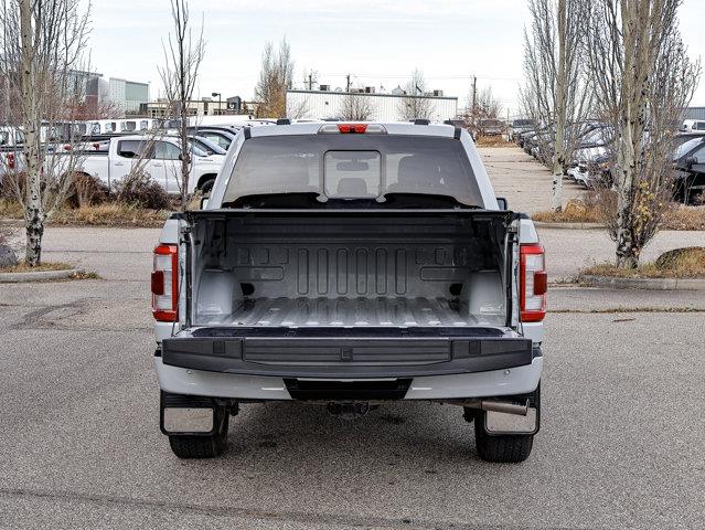 ford F-150 2023 - 15