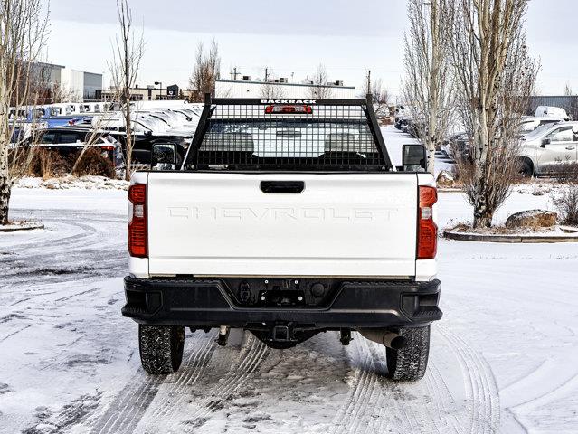 chevrolet Silverado 2500HD 2023 - 12