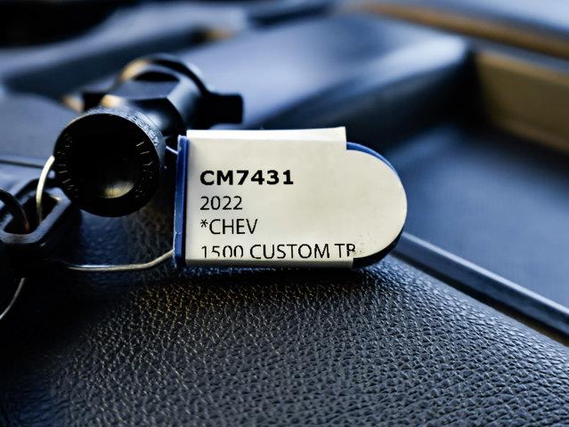 chevrolet Silverado 1500 LTD 2022 - 30