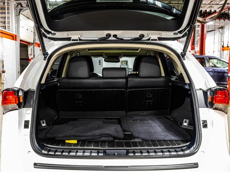 lexus NX 300 2019 - 16