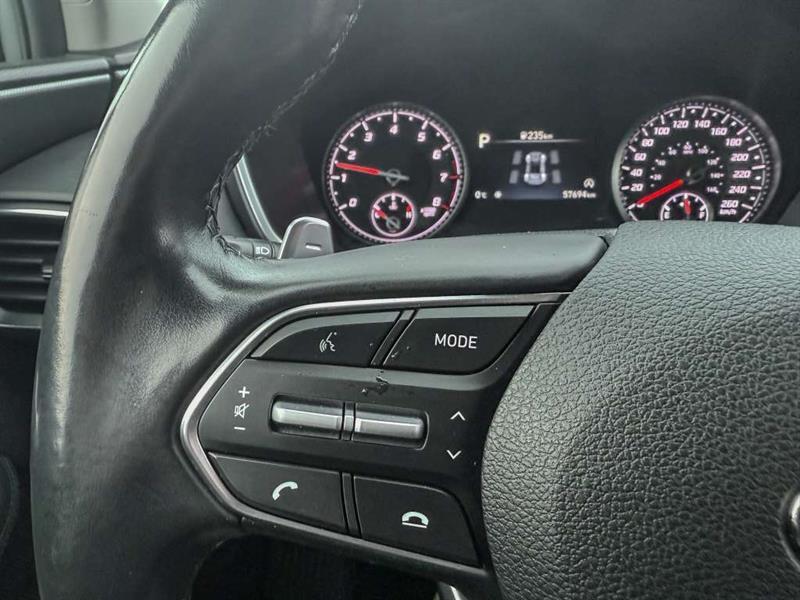 hyundai Santa Fe 2021 - 17