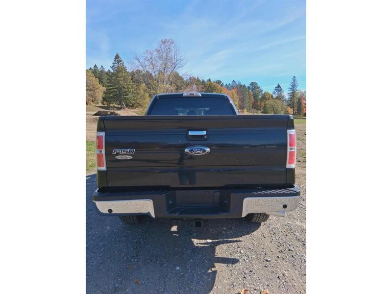 ford F-150 2013 - 10