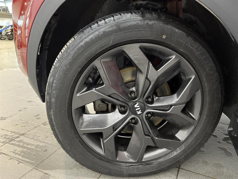 kia Sportage 2022 - 24