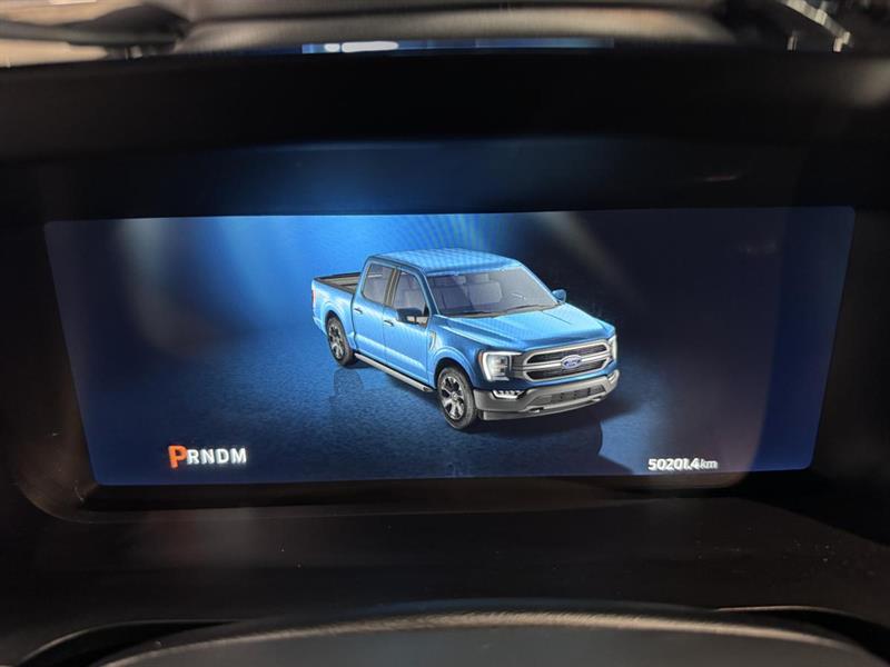 ford F-150 2023 - 14