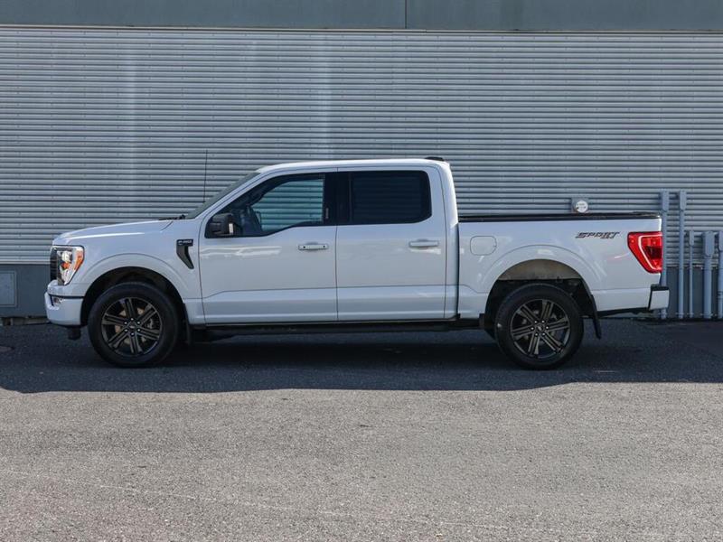 ford F-150 2022 - 3