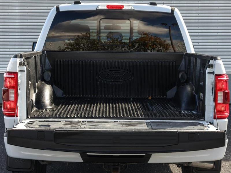 ford F-150 2022 - 10