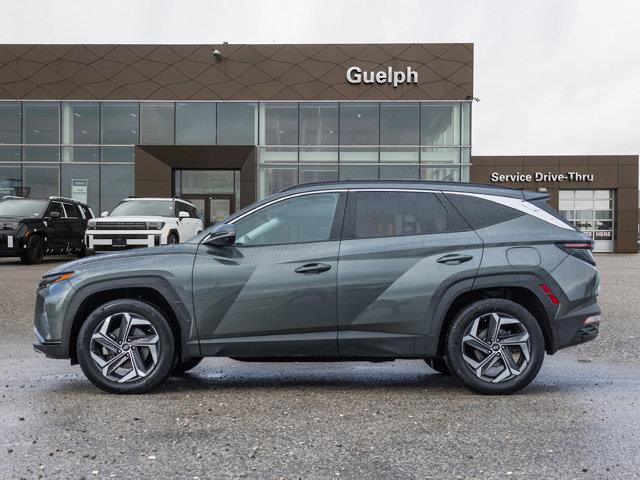 hyundai Tucson hybride 2022 - 4