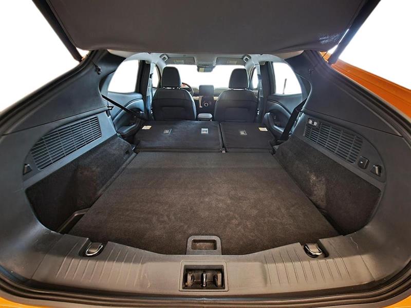 ford Mustang Mach-E 2022 - 13