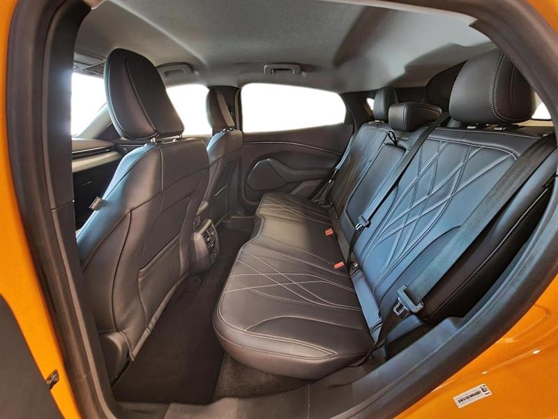 ford Mustang Mach-E 2022 - 15