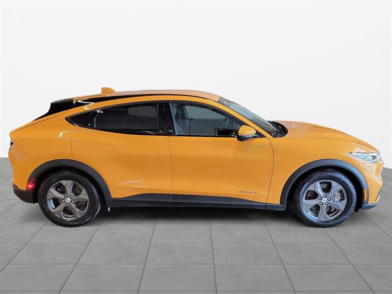 ford Mustang Mach-E 2022 - 19