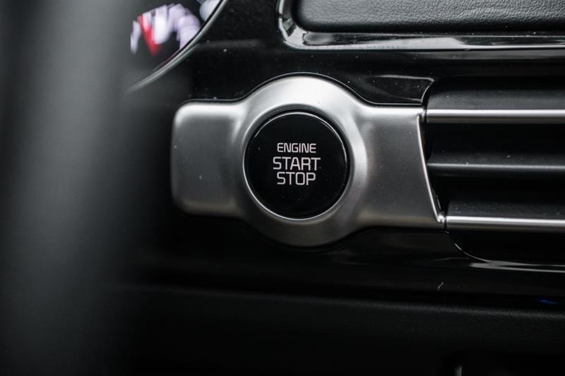 kia Seltos 2022 - 19