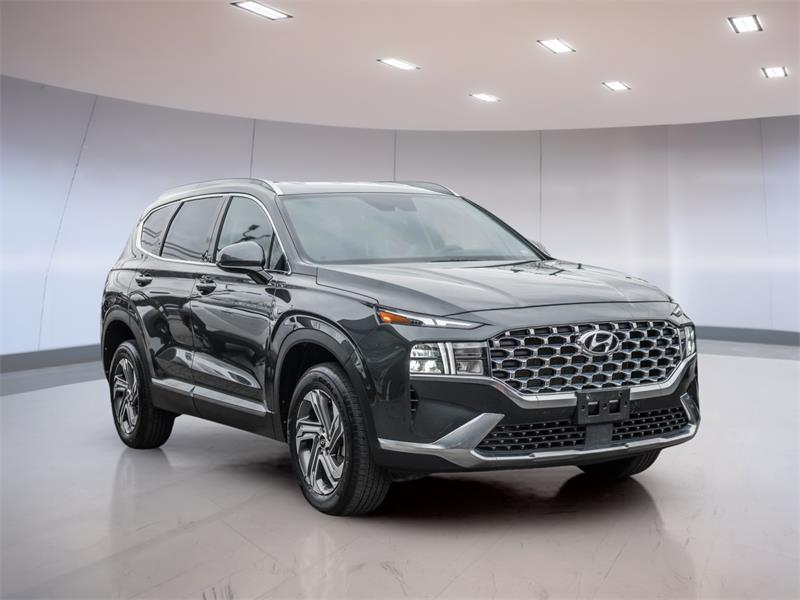 hyundai Santa Fe 2023 - 4