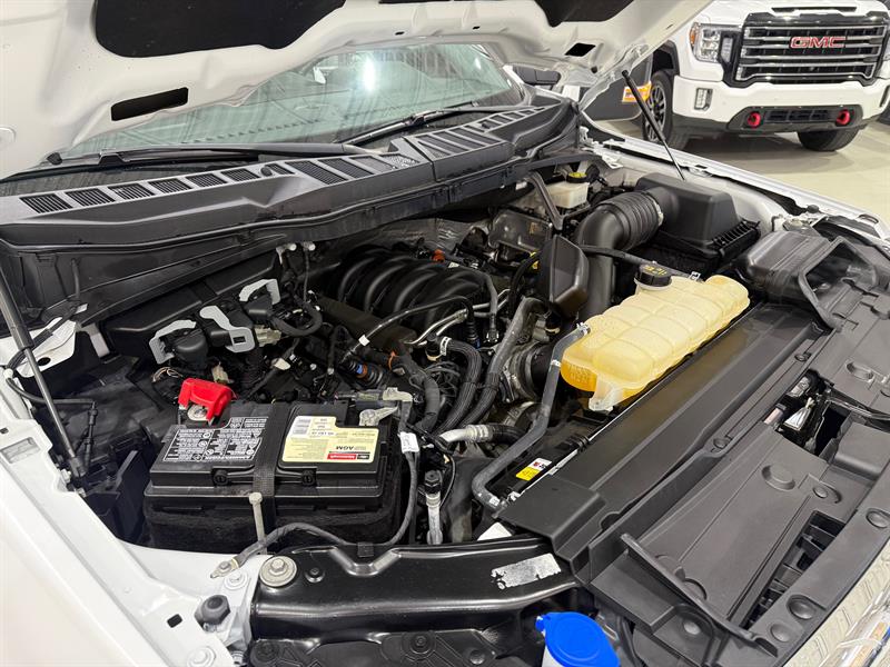 ford F-150 2022 - 31