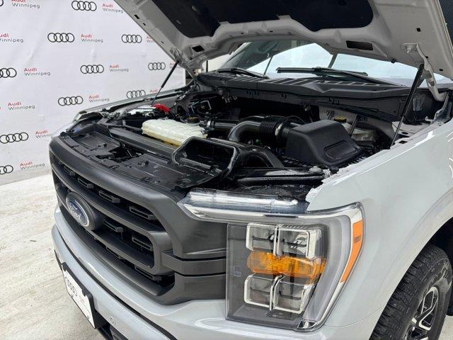 ford F-150 2023 - 10