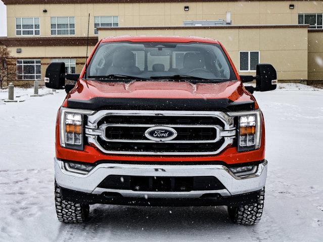 ford F-150 2023 - 3