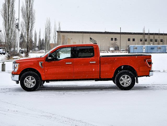 ford F-150 2023 - 10