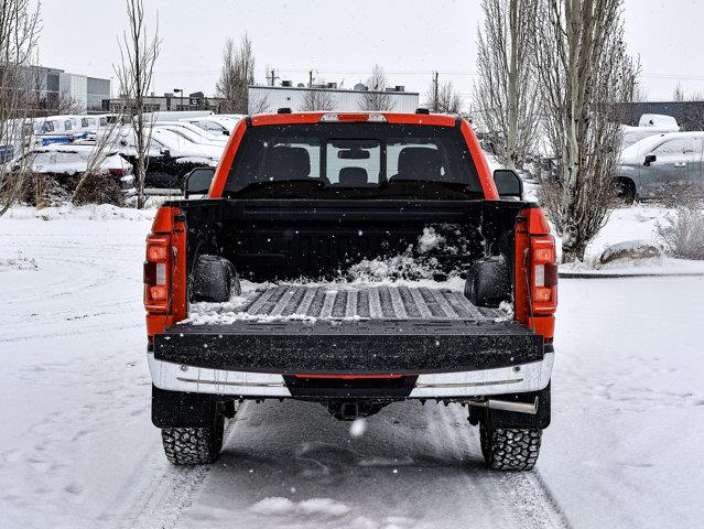 ford F-150 2023 - 15