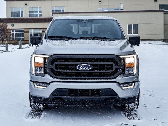ford F-150 2023 - 3