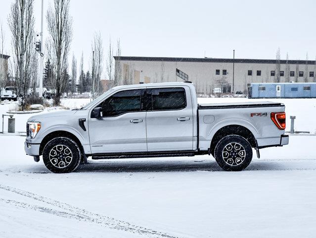 ford F-150 2023 - 10