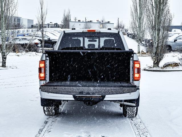 ford F-150 2023 - 15