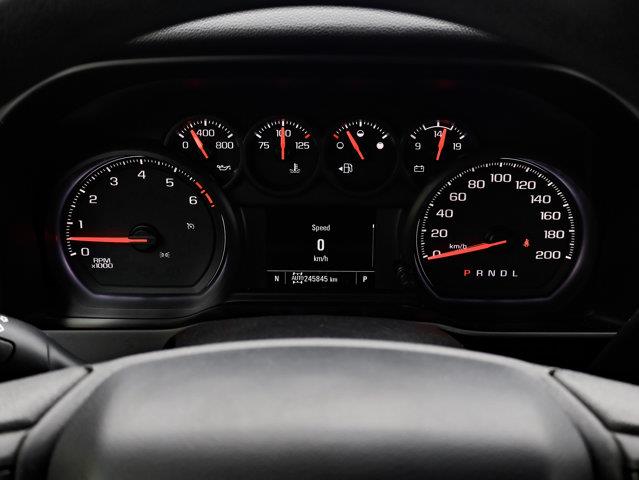 chevrolet Silverado 1500 2020 - 19