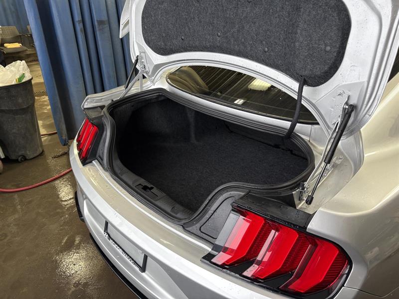 ford Mustang 2018 - 15