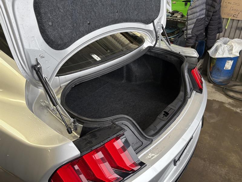 ford Mustang 2018 - 16