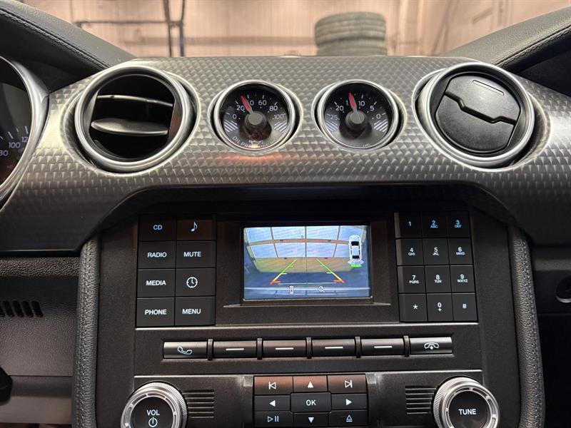 ford Mustang 2018 - 18