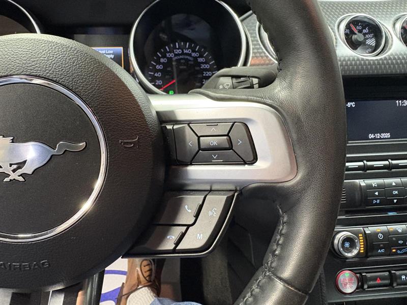 ford Mustang 2018 - 21