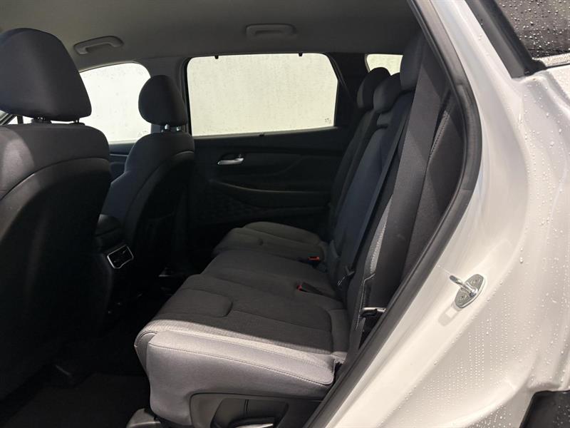 hyundai Santa Fe 2023 - 12