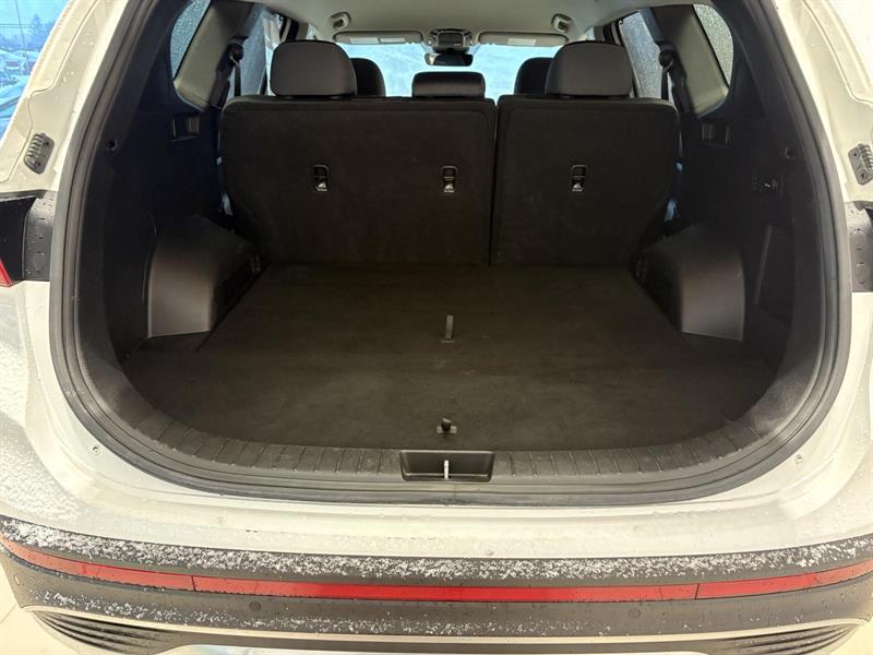 hyundai Santa Fe 2023 - 14