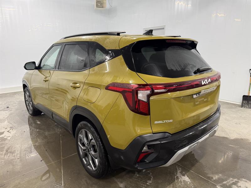 kia Seltos 2024 - 6