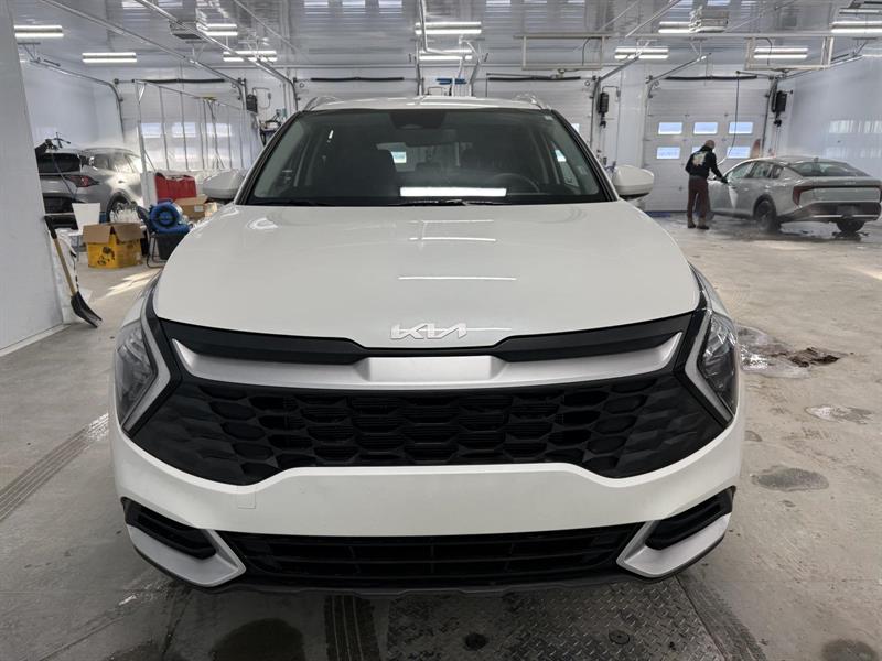 kia Sportage 2024 - 2