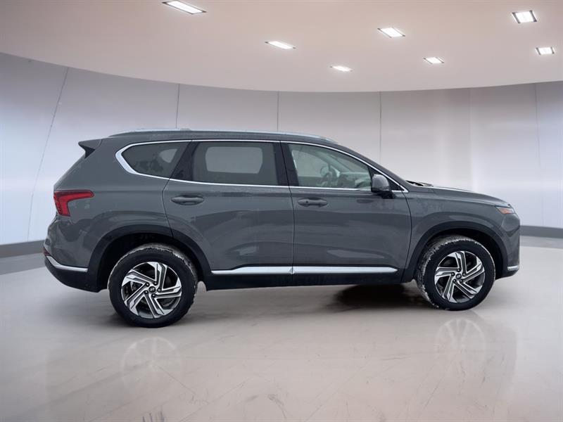 hyundai Santa Fe 2023 - 6