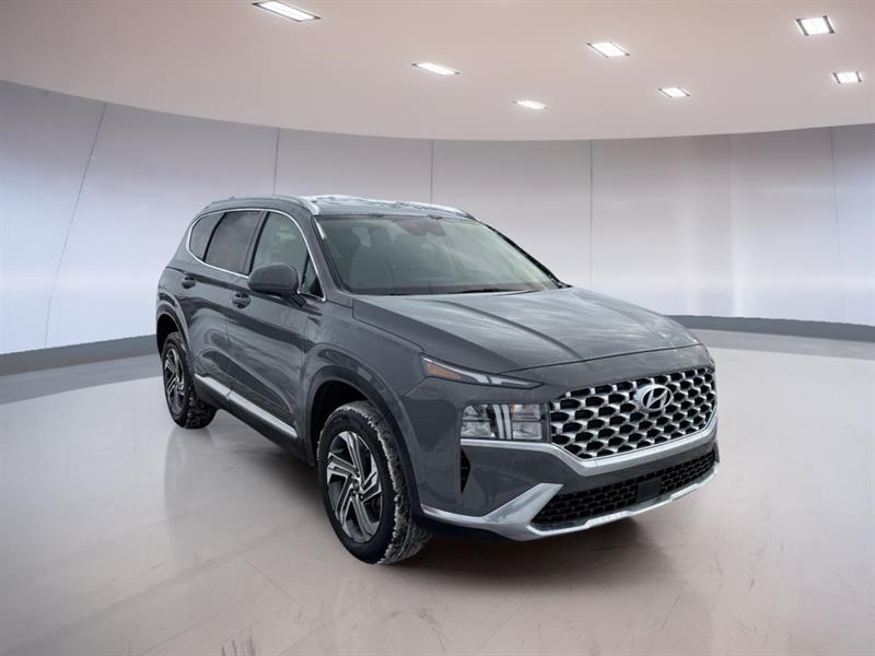 hyundai Santa Fe 2023 - 7