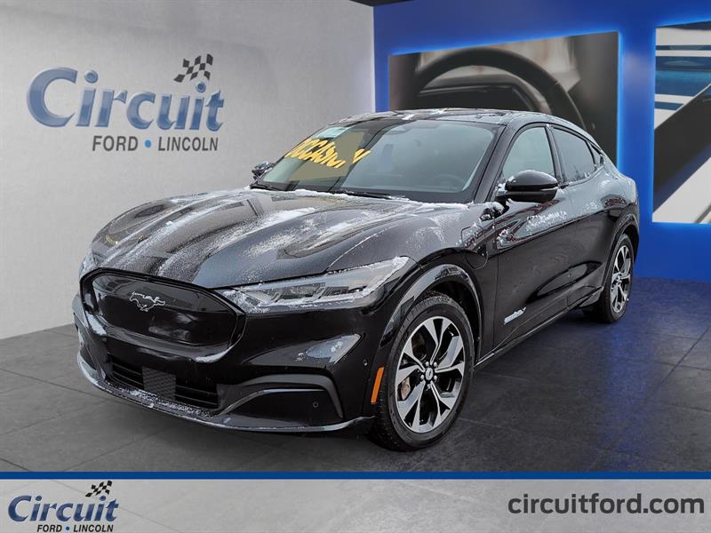 ford Mustang Mach-E 2021