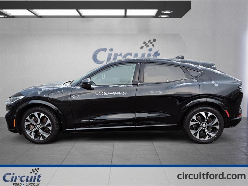 ford Mustang Mach-E 2021 - 7