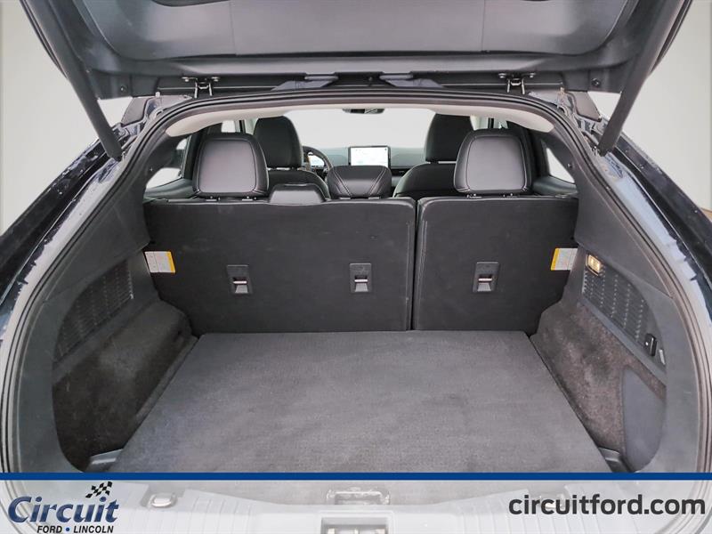 ford Mustang Mach-E 2021 - 8