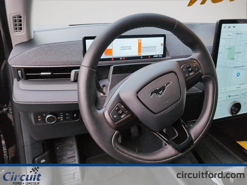ford Mustang Mach-E 2021 - 14