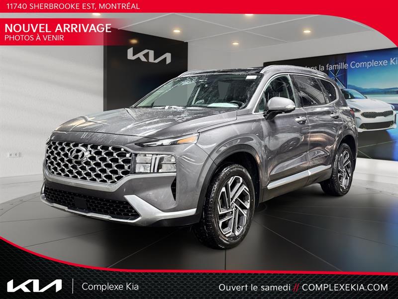 hyundai Santa Fe Hybrid 2021