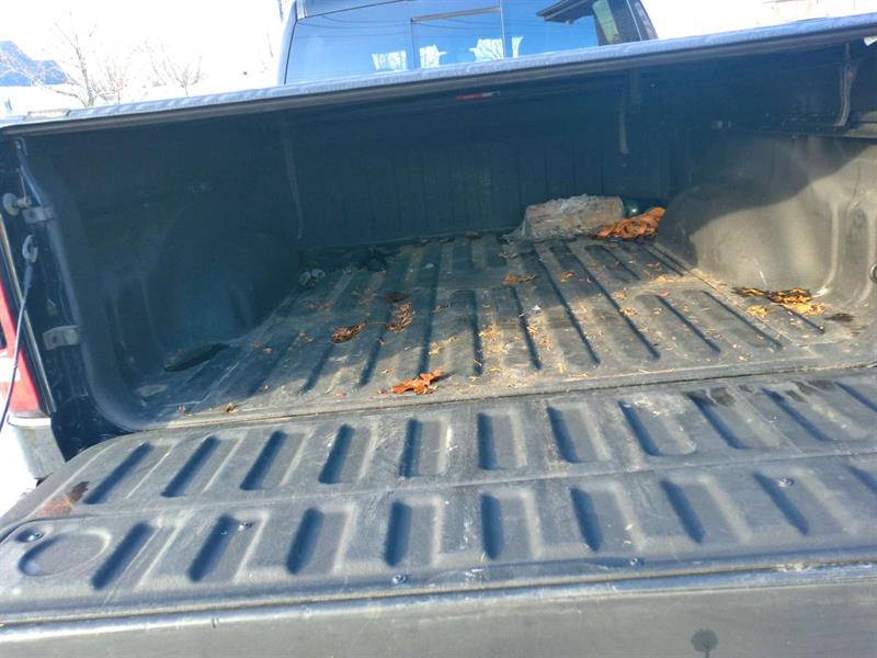 dodge Ram 1500 2019 - 10