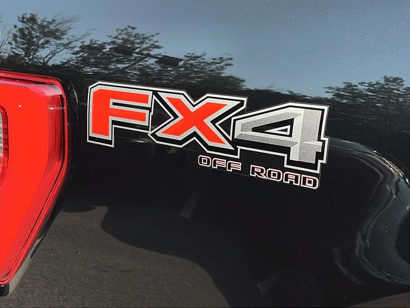 ford F-150 2023 - 11