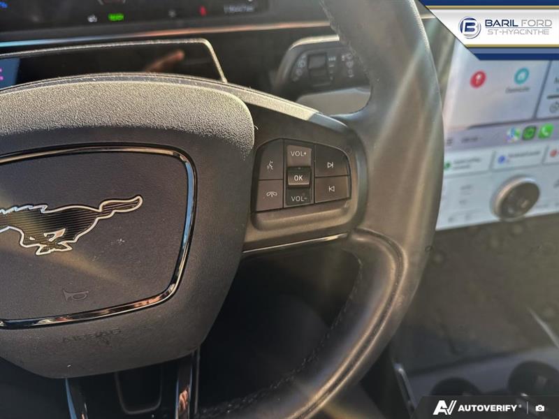 ford Mustang Mach-E 2022 - 16