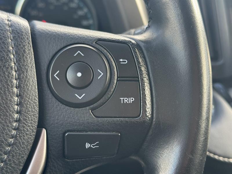 toyota RAV4 hybride 2017 - 17