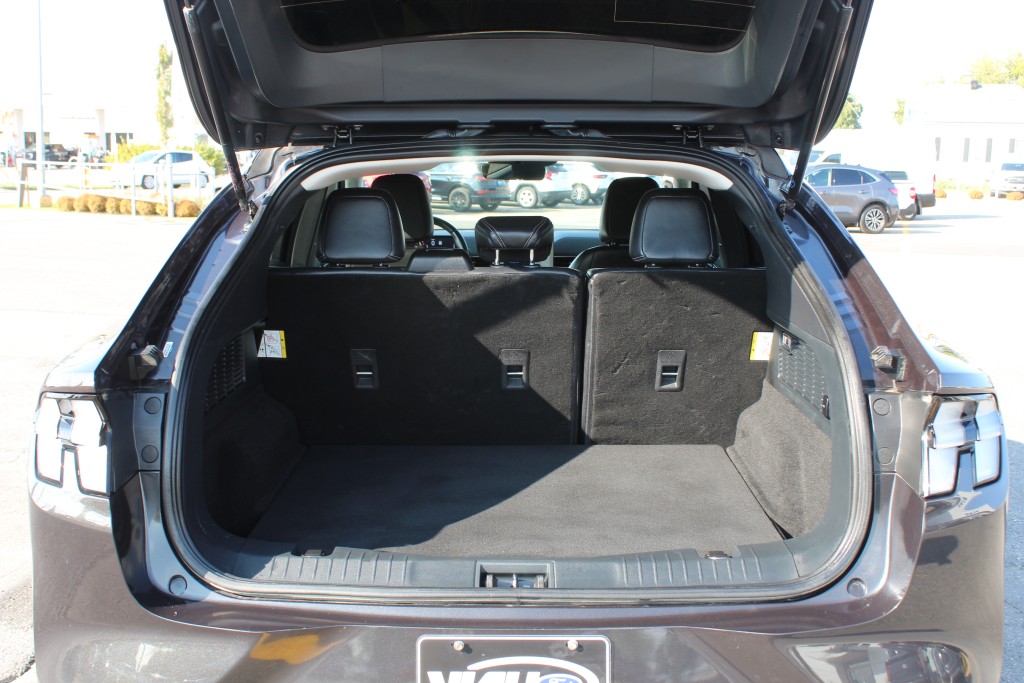 ford Mustang Mach-E 2022 - 10