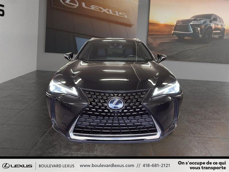 lexus UX 2019 - 2