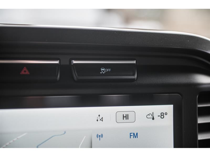 ford F-150 2023 - 23