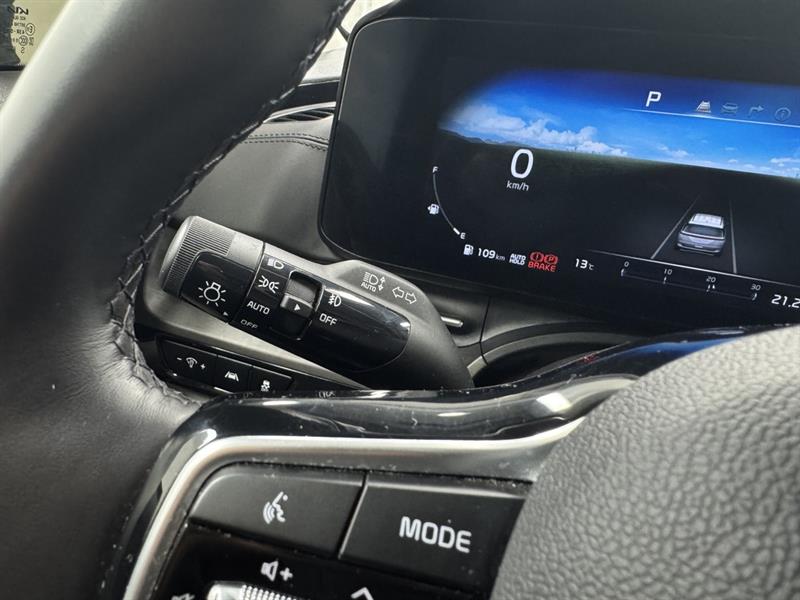 kia Carnival 2024 - 23